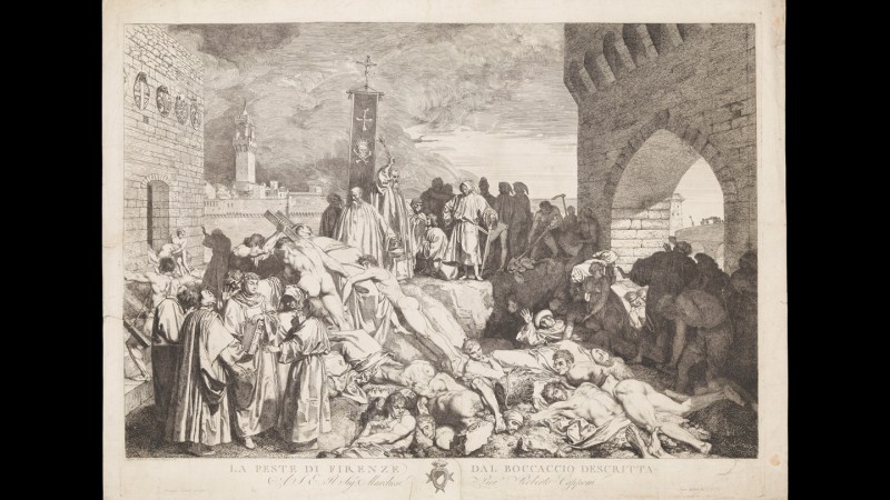 A volcanic eruption might have helped bring the Black Plague to Europe
