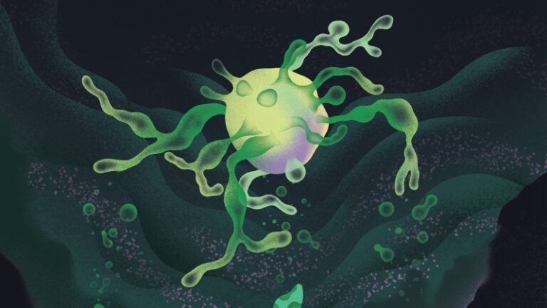 How can these strange cells explain the origin of complex life?