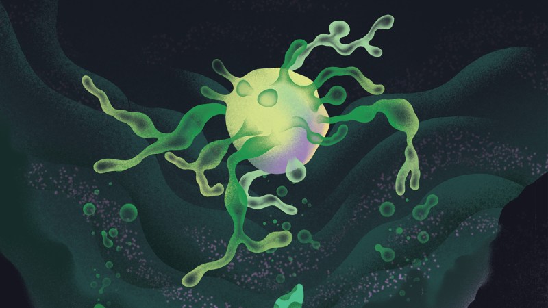 How can these strange cells explain the origin of complex life?